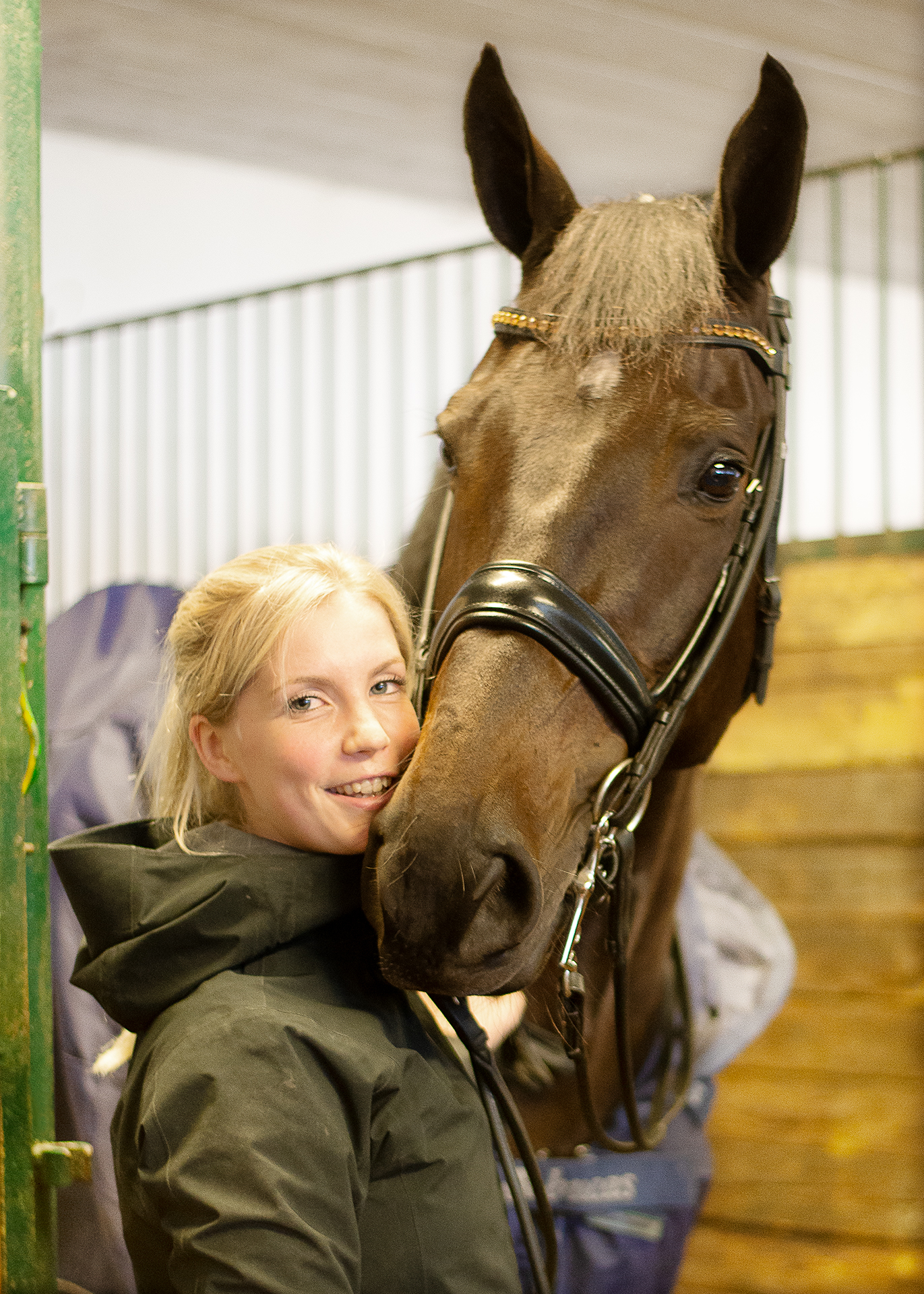 Helsingin kilpatalli ja puitteet.